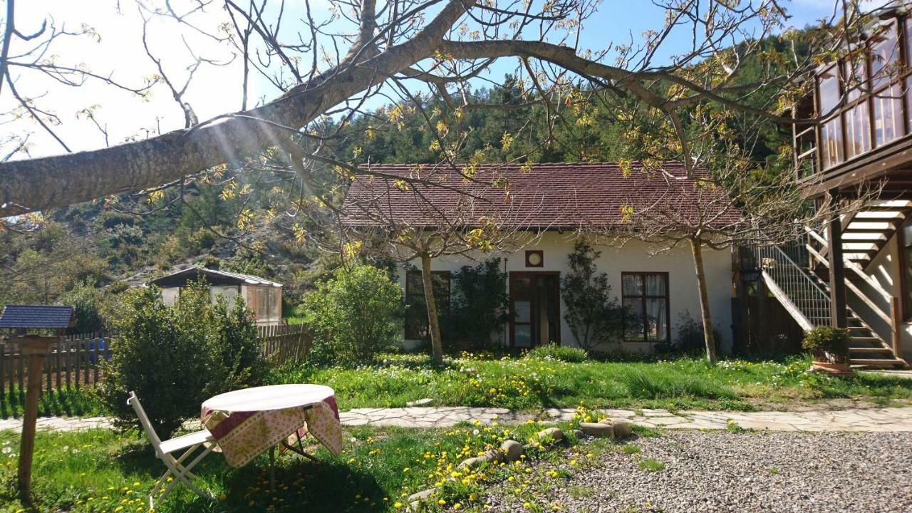 Casa Turreta Appartement Ansó Buitenkant foto